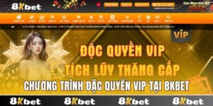 Đặc quyền VIP tại 8kbet