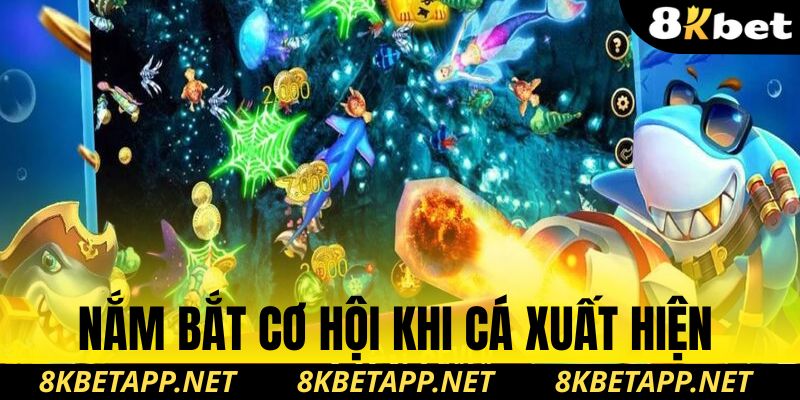 Nắm bắt cơ hội khi cá xuất hiện