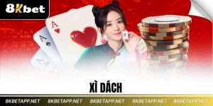 xì dách